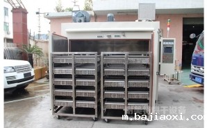 NMT-TC-5017汽车加热器道康宁胶固化落地式双推车烘箱(埃贝赫)